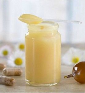 Bee Milk - Natural Royal Jelly 100 gr Bee Milk - Natural Royal Jelly 100 gr