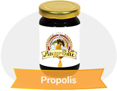 Propolis Firm 100 GR % 95 lik. exract