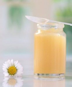 Bee Milk - Natural Royal Jelly 50 gr Bee Milk - Natural Royal Jelly 50 gr